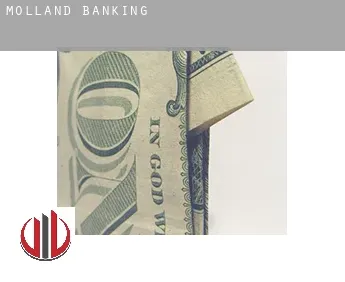 Molland  banking
