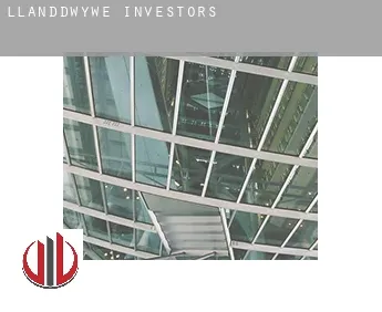 Llanddwywe  investors