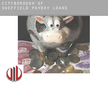 Sheffield (City and Borough)  payday loans