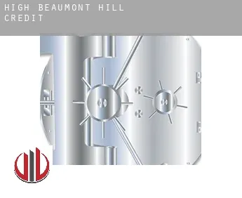 High Beaumont Hill  credit